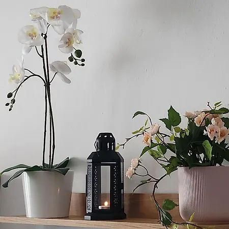 Casa Gara Isabel Apartman *