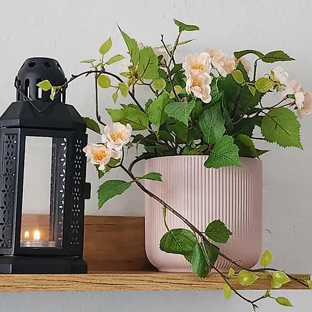 Apartman Casa Gara Isabel