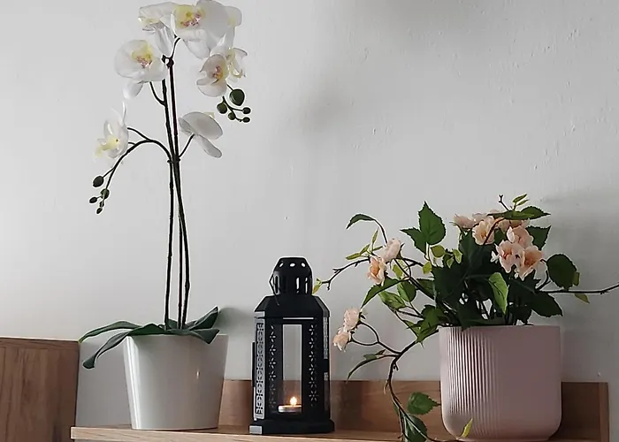 Casa Gara Isabel Appartement *